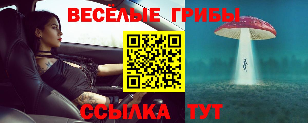 Каменка  Галлюциногенные грибы прущие грибы  Галлюциногенные грибы мухоморы  Вход с VPN 